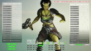 Meta Customization System