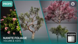 Nanite Foliage Vol2 Asian