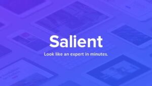 Salient Theme v18.0.2